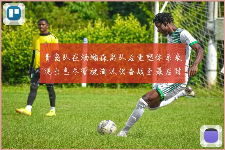 青岛队在杨瀚森离队后重塑体系表现出色尽管被淘汰仍奋战至最后时刻